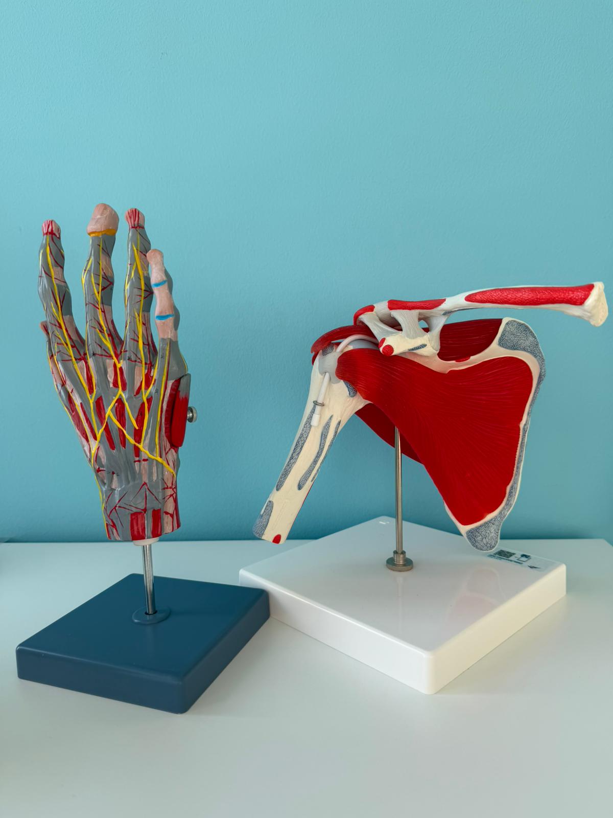 Ergotherapie Darmstadt